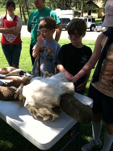 Sean & Tommy and a bison skull