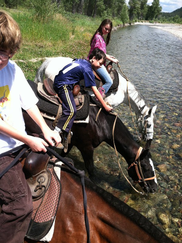 Giving the horses a drink