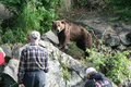 Ron & his bear