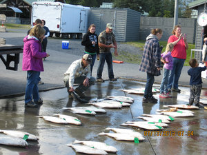 Fisherfolk coming into the campground with their halibut.