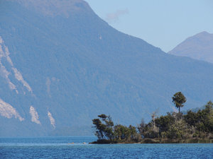 Eine Insel im Lake Te Anau.
