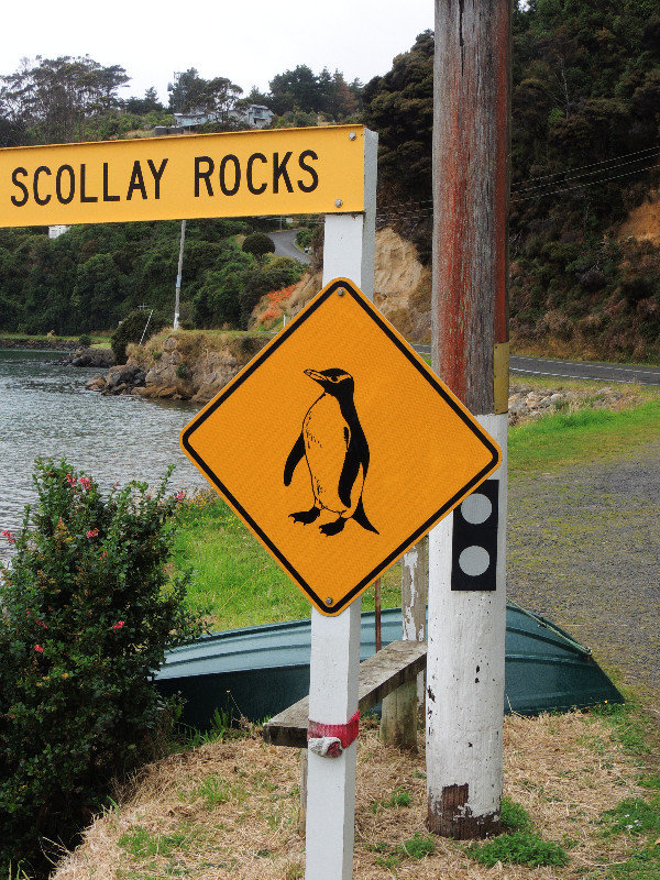 Penguins Crossing!