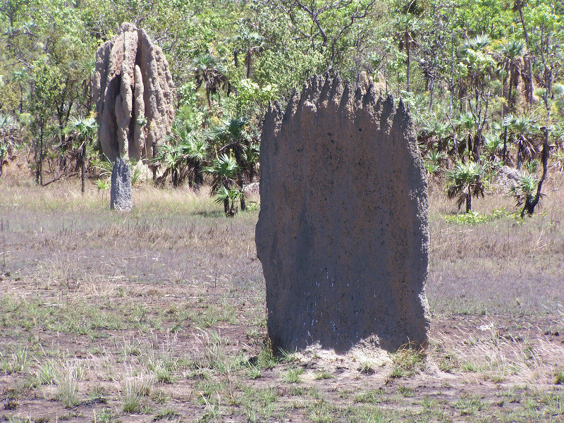 Magnetic termite mound