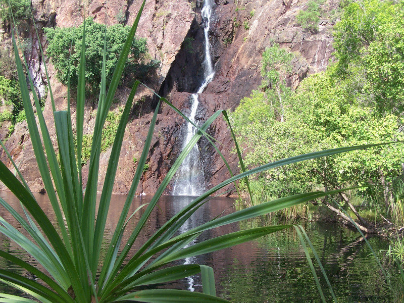 Wongi Falls