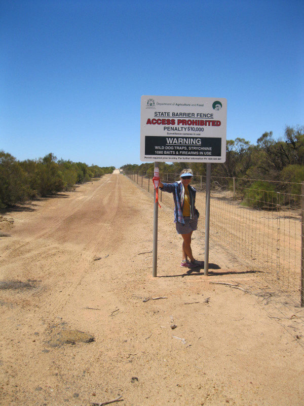 The rabbit-proof fence
