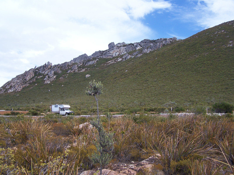 fitzgerald np