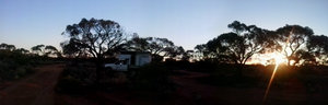 another sunset in the bush