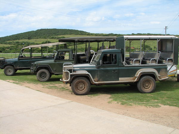 Schotia Game Reserve - Near Port Elizabeth, South Africa (Game Viewing Vehicle)