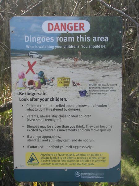 Fraser Island, Australia (Dingo Warning Sign)