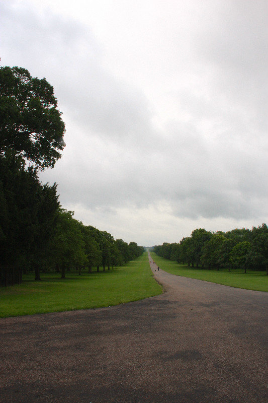 Windsor Great Park, Lonson