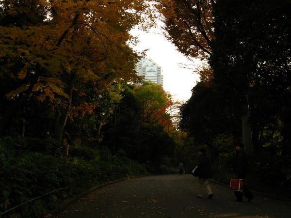 Shinjuku Park Path