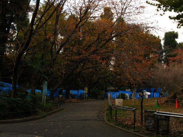 Shinjuku Park Humpies