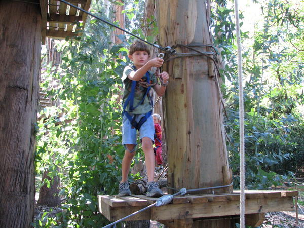 loving the ropes course at the botanic gardens