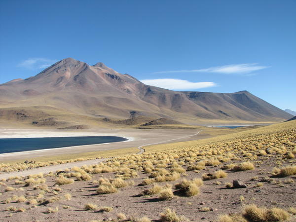 Altiplano lakes -- Lagunas Miscanti and Miniques