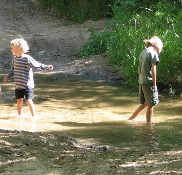 the boys in the stream at the botanical gardens