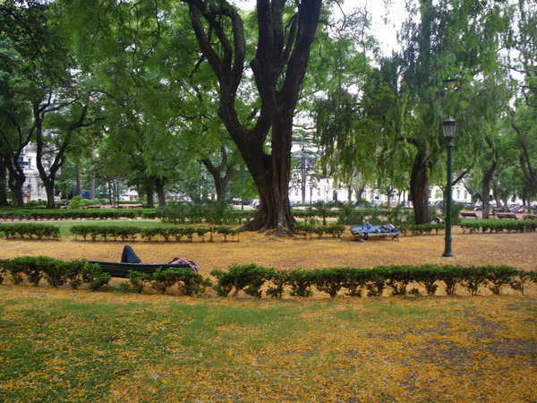 Plaza Rodriguez Pena