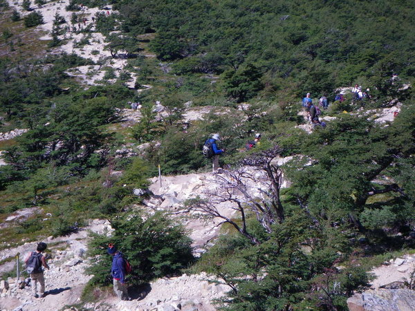 Looking down the trail up