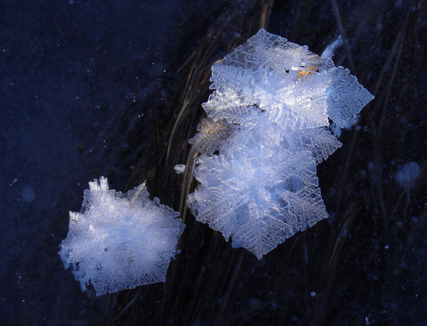 Crystals in the Crane Flats