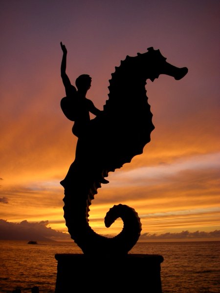 Iconic seahorse