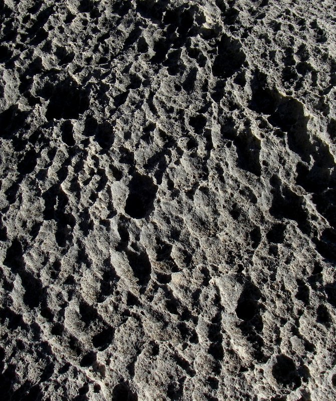 Not the surface of the moon, the eroded surface of a rock