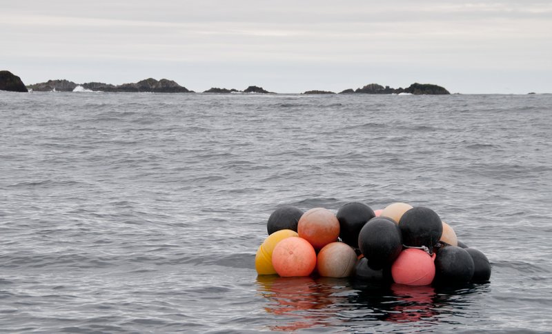 Raft of buoys