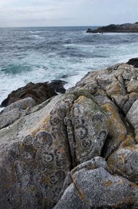 Rocks with lichens