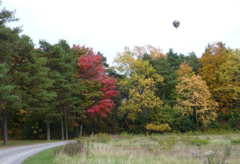 Ballon and fall colors B