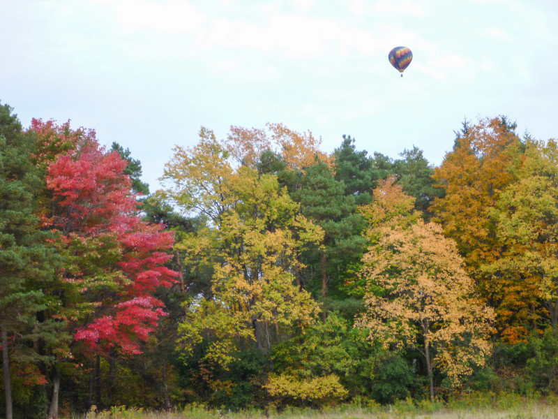 Balloon and fall colors