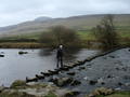 Ross & Stepping Stones