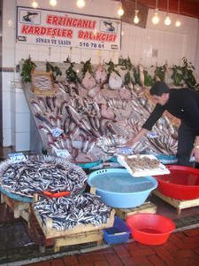 Kumkapi Fish Market