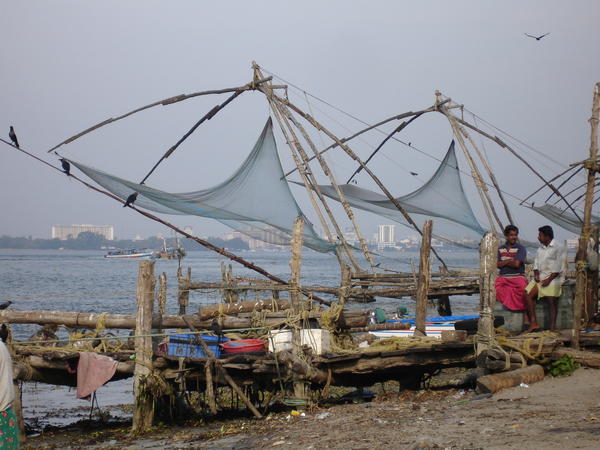 Cochin Chinese Fishing Nets