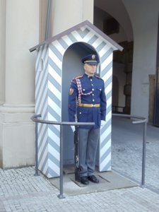 Palace Guard