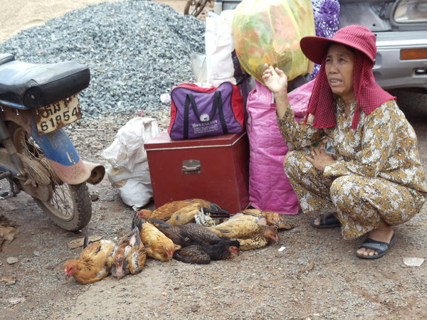 Chicken Sales Lady at Kampong Chhnang