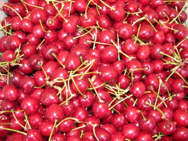 Cherries at the Market
