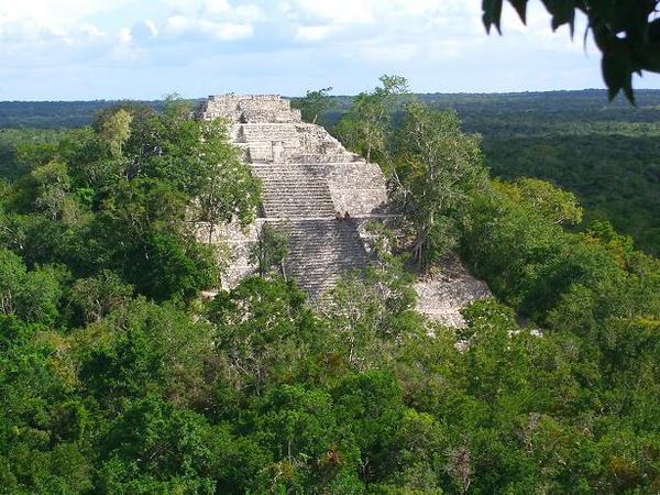 View of Building One Calakmul