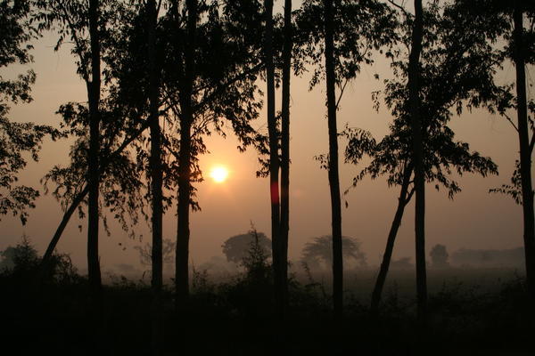 Bharatpur - Morning