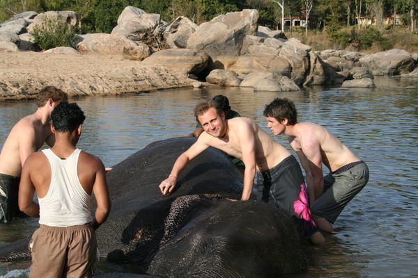 Dan Washing Tara with Nick, George and the Mahout