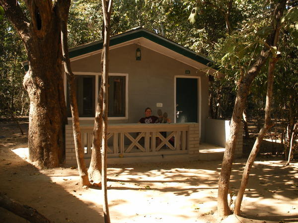 Our Forest Hut
