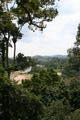 View from canopy walkway