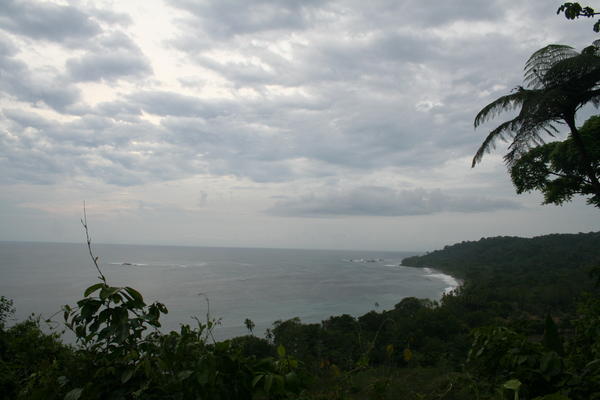 View of PMP's Bay - Corcovado National Park