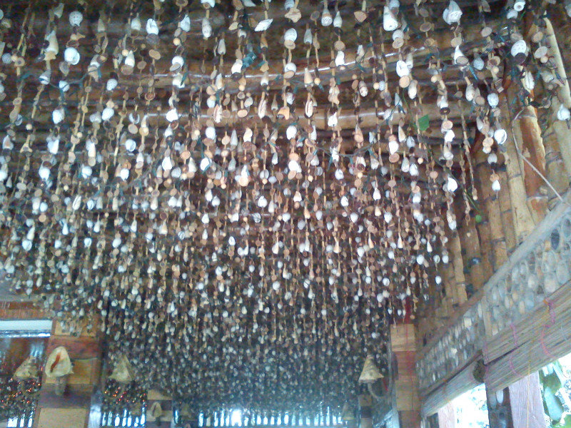 seashells ceilings