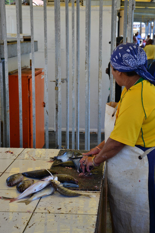Local Fisherwoman at the harbour market