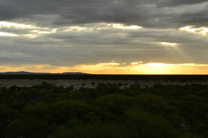 View from the top of the tower over Etosha park