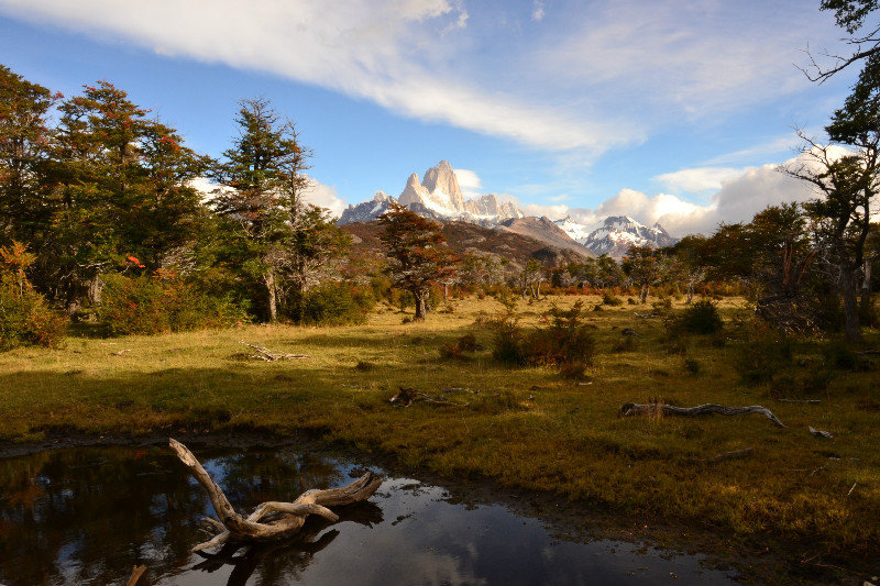 Hike to viewpoint over Lago Viedma, Cerro Torre and Fitz Roy - El Chalten