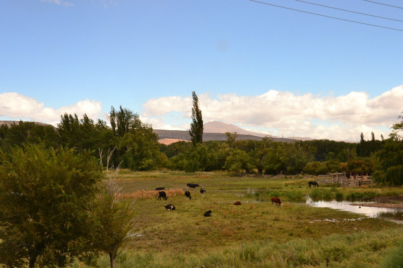 Nice scenery: one stop in the afternoon on the road to Bariloche from Malargue