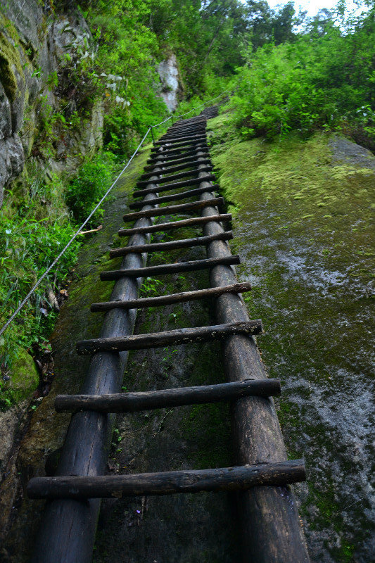 The very steep ladder