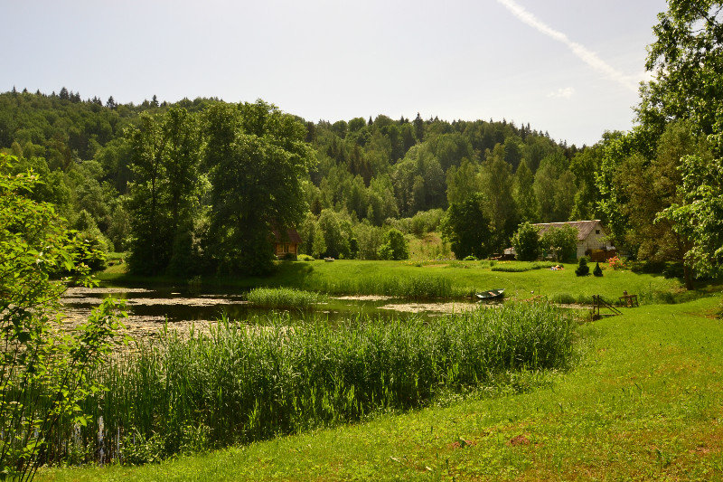 Nature in Gauja National Park