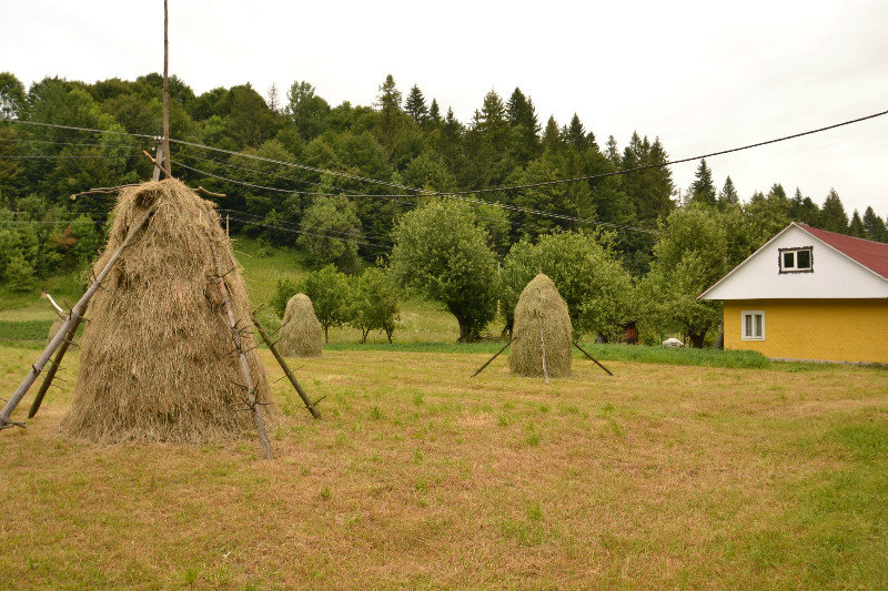 Village in Carpathians Mountains