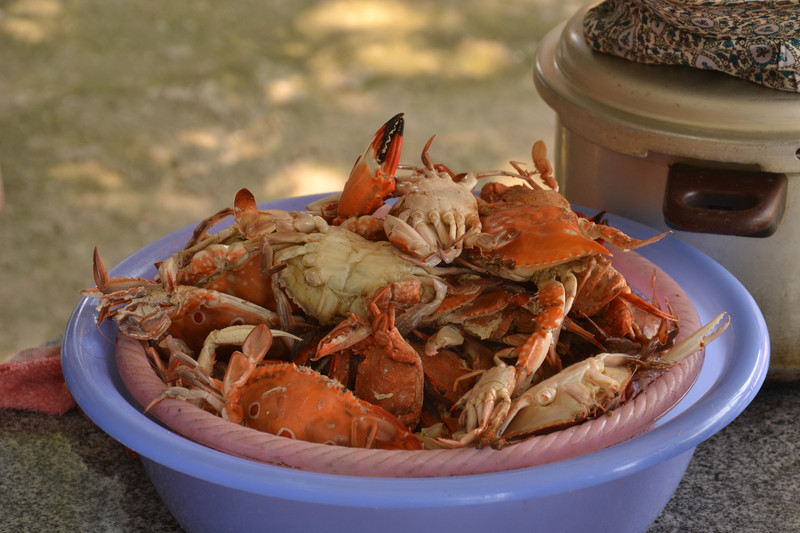 Fresh crabs ;)