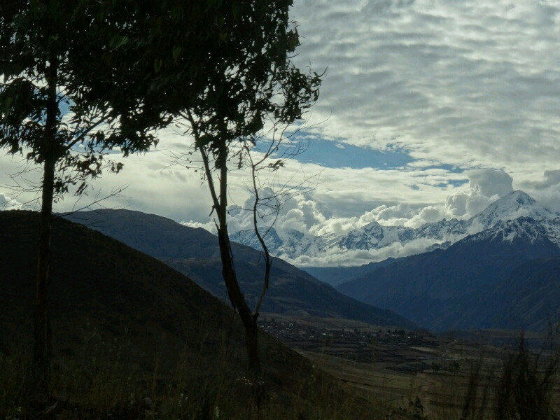 Gum trees, mountains and clouds